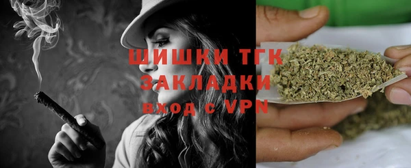 дмт Алзамай