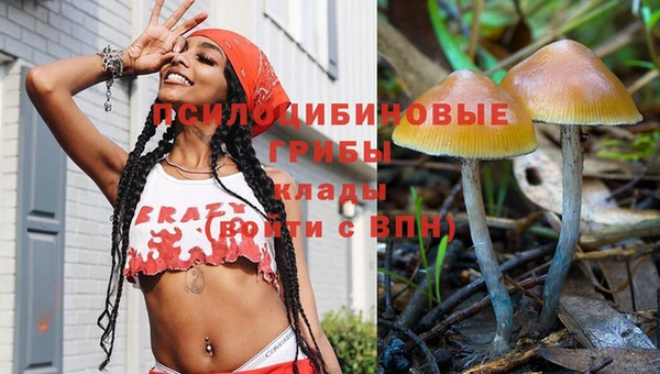 каннабис Алексеевка